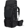 Jack Wolfskin Denali 65+10 Men - Trekkingrucksack
